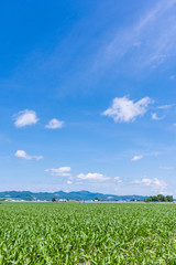 北海道富良野 穀倉地帯を行く