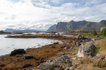 Fototapeta na wymiar Landscape near Nedredal, Vestvagoy, Lofoten Islands, Norway