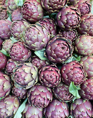 Fototapeta premium Green artichokes for sale at the vegetable market in winter