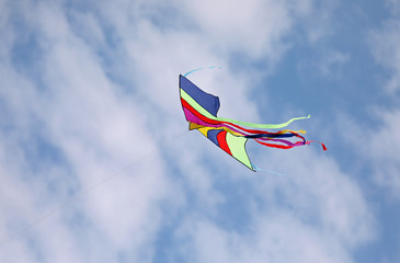 kite flies high in the blue sky
