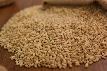 Beans,Pulses,Lentils,Rice and Wheat grains in bowl
