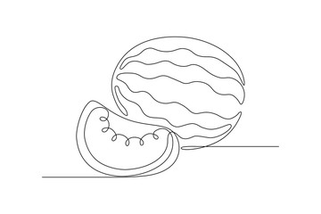 Watermelon in continious line art drawing style. Minimalist black line sketch on white background. Vector illustration