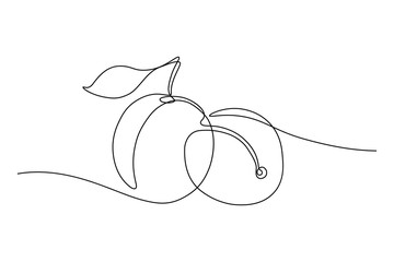 Plum fruits in continuous line art drawing style. Minimalist black line sketch on white background. Vector illustration © GarkushaArt