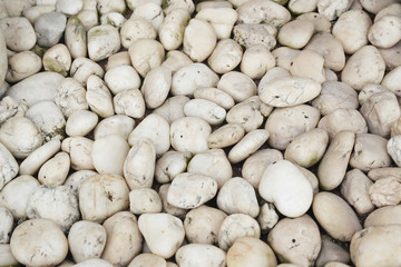close up of white stone