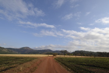 Fototapeta na wymiar MLILWANE WILD SANCTUARY, SUDAFRICA