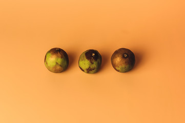 The concept of ugly fruits and citrus fruits. Three limes have soured and dried up. Mold on citrus....