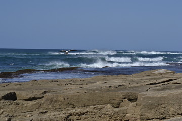 COSTA ATLANTICA SUDAFRICA