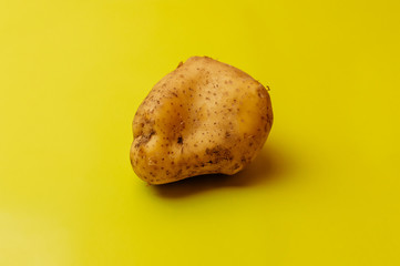 Ugly mutant odd organic big potato jagged on yellow background. Rejected food in stores shops...