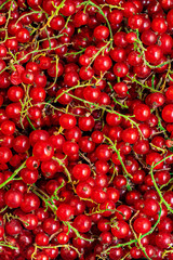 Red currant berries  background. Heap of Fresh Currant. Abstract Food texture. Top view.