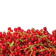 Red currant berries frame. Heap of Fresh Currant   isolated on white background.