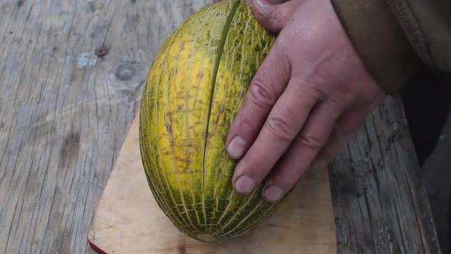 Slicing ripe oval melon into pieces on a wooden board by knife