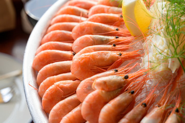 Shrimps cooked line up on plate wtih lemon lobsters seafood plate