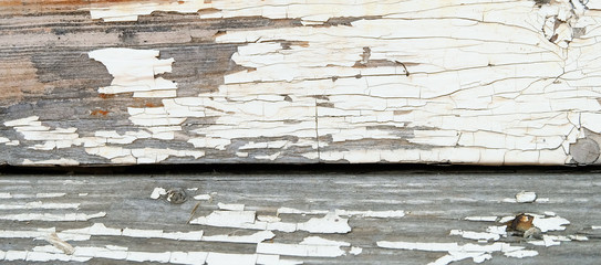 Old peeling paint on the boards, grunge horizontal background for banners and other designs.