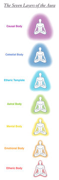 Seven aura bodies chart of a meditating yoga man. Labeled chart - etheric, emotional, mental, astral, celestial and causal layer an template. Different rainbow colored auras. Vector white.