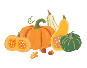 Vector composition of hand drawn pumpkins. Autumn Harvest festival collection. Different kind of pumpkins. 