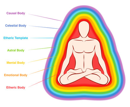 Aura bodies. Rainbow colored labeled layers of a male body. Etheric,  emotional, mental, astral, celestial and causal layer. Isolated vector  illustration on white background. Stock Vector | Adobe Stock