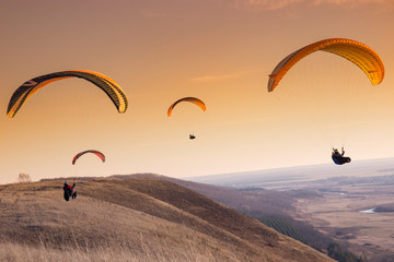 paragliders