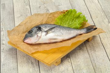 Raw Dorada fish  for cooking