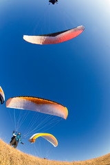 paragliders