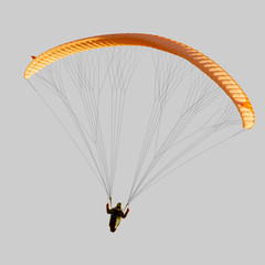 Beautiful paraglider in flight. isolated