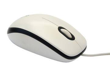 computer mouse