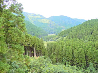 山