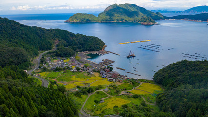 Fototapeta na wymiar 海と島を望む棚田の風景の空撮
