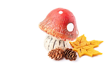 Wild forest red amanita mushrooms with beautiful autumn leave and pine cone isolated on white background.