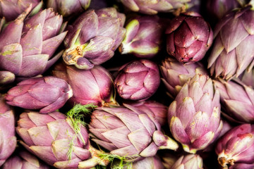 Purple Artichokes