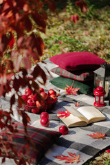 Obraz na płótnie Canvas Autumn warm days. Indian summer. Picnic in the garden - blanket and pillows of gray, burgundy and green color on the background of autumn leaves.