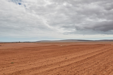 Fototapeta premium Polna droga na zachodnim wybrzeżu Republiki Południowej Afryki