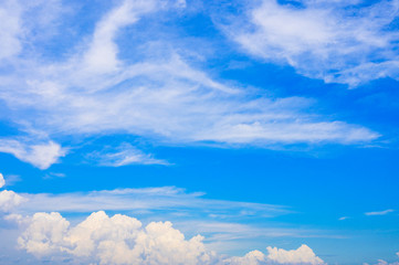 Fototapeta premium 青空と入道雲