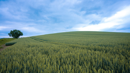 Natural Landscape With Mountain View