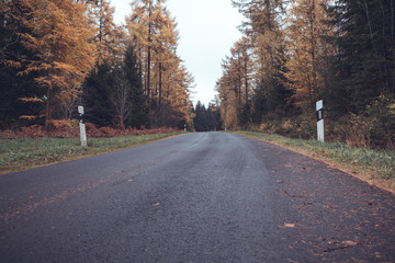 Fototapeta premium Autumn road 3