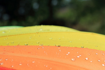 Fototapeta Krople deszczu na kolorowym parasolu. obraz