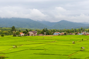 Fototapeta na wymiar Small house and rice terraces field and Mountain,Nan,Northern of Thailand