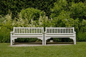 bench in the park