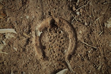 Horse shoe print
