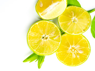 Lemon sliced fruit, isolated on a white background.