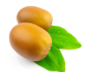 Two brown kiwis on separate leaves on a white background.
