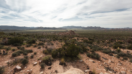 Landscape at Joshua Tree Nationalpark