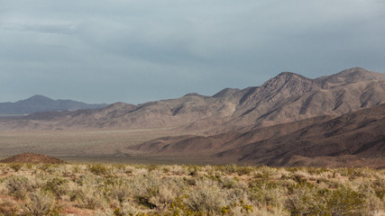 Landscape at Joshua Tree Nationalpark