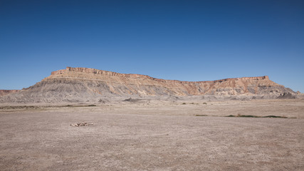 Desert view