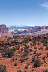 Utah Landscape Snow 4