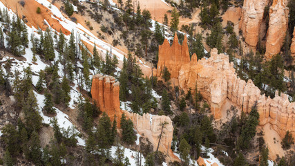 Bryce Canyon Forest 2
