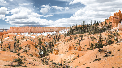 Fototapeta na wymiar Bryce Canyon covered with Snow 3