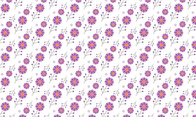 Colorful Flower On White Backgorund