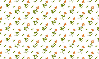 Beauty Full Flower On White Background