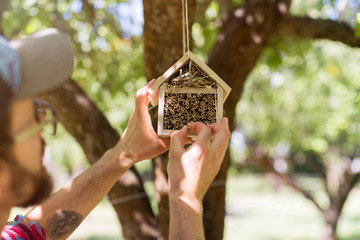 Man hanging insect hotel on the tree
