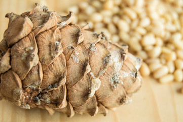 cedar cone with nuts scattered on a light wooden background, organic food and vegetarianism